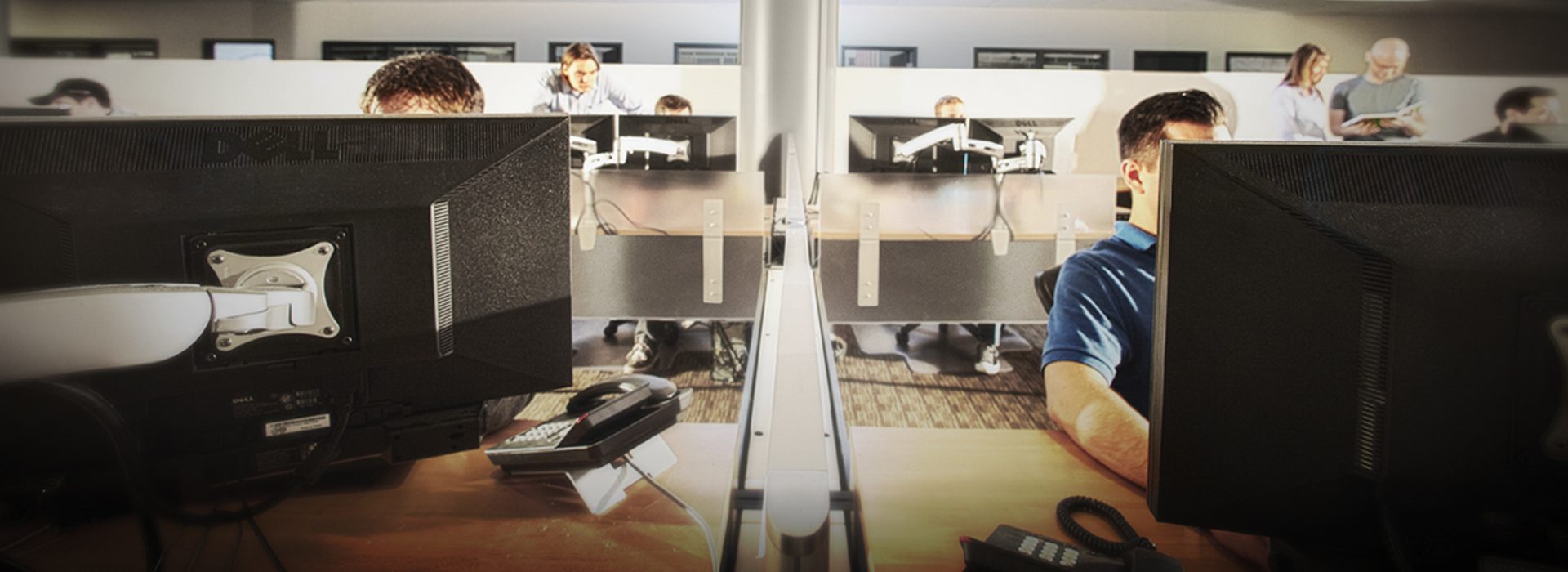 A group of people sitting at their desks, computers in front of them